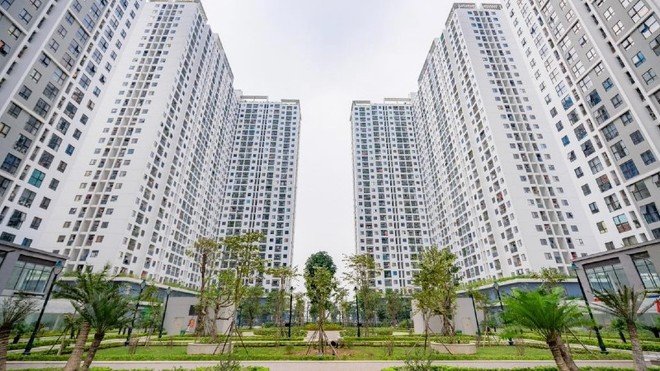Ecohome 3 vẫn còn 157 căn nhà ở xã hội cho thuê sẽ chuyển bán trong tương lai. Ảnh: Chủ đầu tư Capital House
