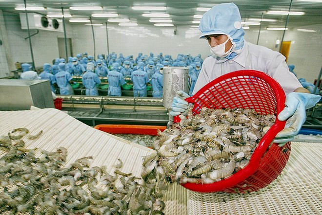 Tổng kim ngạch xuất khẩu thủy sản 5 tháng đầu năm đạt trên 4,34 tỷ USD, tăng 22% so với cùng kỳ 2024.
