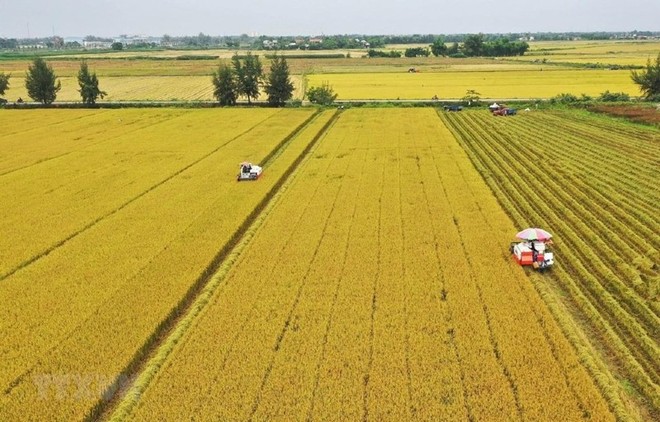 Việc tuyên truyền, đào tạo kỹ thuật và chính sách giảm phát thải cần được đẩy mạnh để mọi người dân, từ cán bộ quản lý đến nông dân trực tiếp sản xuất, đều hiểu rõ lợi ích kinh tế, xã hội của sản xuất nông nghiệp phát thải thấp.