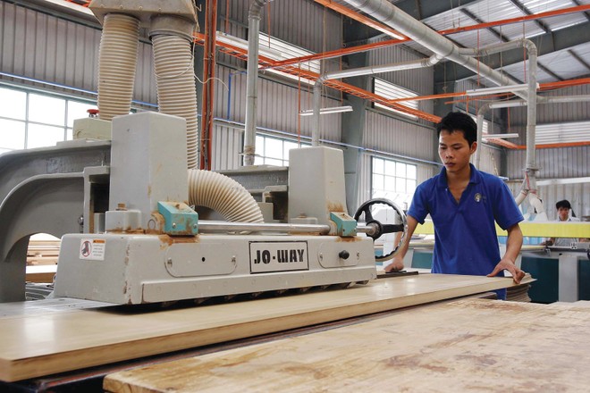 Xuất khẩu gỗ là lĩnh vực chiếm tỷ trọng lớn nhất trong doanh thu, lợi nhuận của Phú Tài