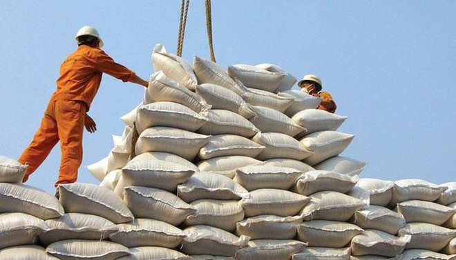 Thủ tướng chỉ đạo các Bộ ngành có giải pháp nhằm đa dạng hóa thị trường xuất khẩu gạo. 