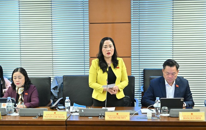 Đại biểu Nguyễn Thị Thủy phát biểu tại tổ. Ảnh: PT. 