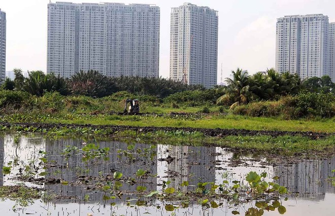 Nếu danh mục đợt 2 được thông qua, TP.HCM sẽ có 117 khu đất, với tổng diện tích hơn 1.510,3 ha tham gia thí điểm.