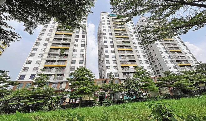 Đến nay cư dân Dự án Chung cư Osimi Tower (phường An Hội Đông, TP.HCM) chưa được cấp “sổ đỏ”.