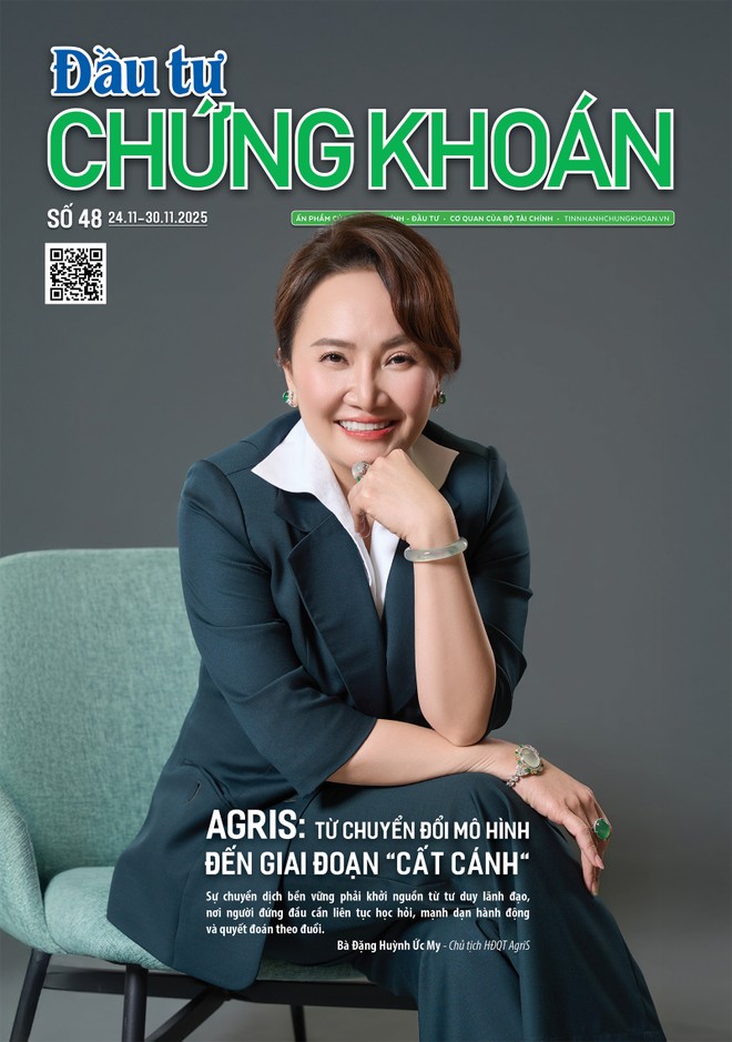 Báo Đầu tư Chứng khoán số 48