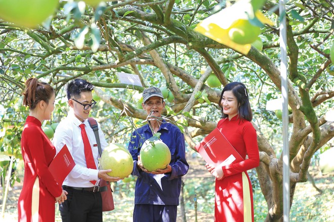 Tính đến 30/9/2025, dư nợ tín dụng xanh của Agribank đạt 28.355,5 tỷ đồng