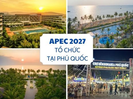 Vượt kế hoạch 2024, Tập đoàn CEO đạt 169 tỷ đồng lợi nhuận sau thuế