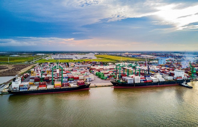 Cảng Xanh VIP (VGR) tạm ứng cổ tức năm 2025, tỷ lệ 20% bằng tiền