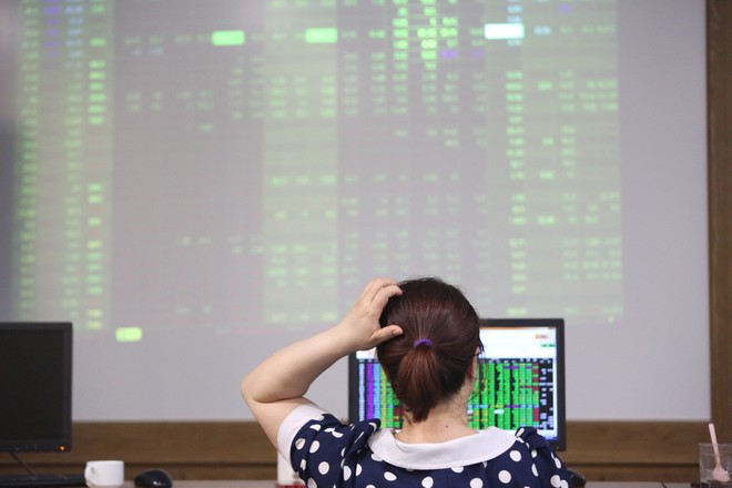 Tổng giám đốc VinaCapital: Biến động tạo ra cơ hội đầu tư tốt