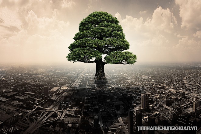 Sự kiện chứng khoán đáng chú ý ngày 16/12