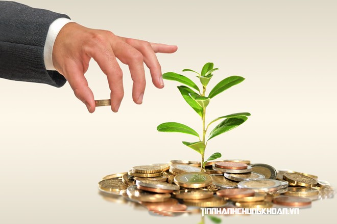 Doanh nghiệp hấp dẫn hơn khi phát triển bền vững