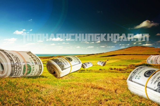 Đẳng cấp các doanh nghiệp có vốn hóa tỷ USD trên thị trường chứng khoán