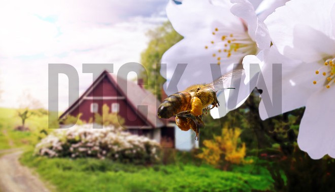 Sự kiện chứng khoán đáng chú ý ngày 19/2