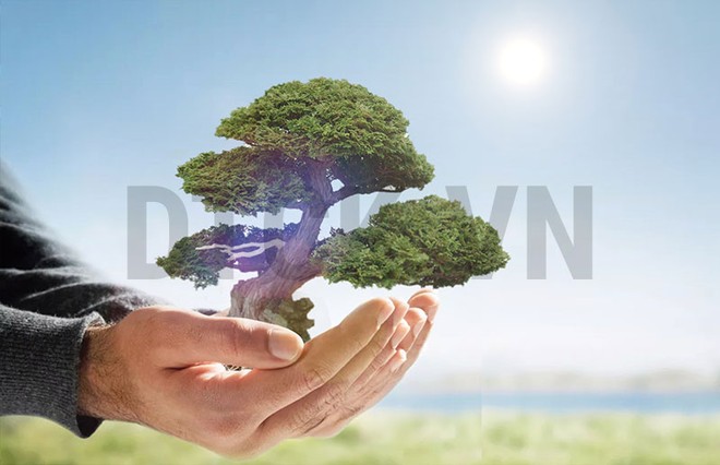 Nhận định thị trường phiên 10/1: Có thể thực hiện mua trading