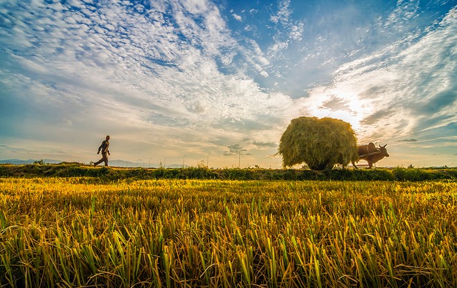 Sự kiện chứng khoán đáng chú ý ngày 16/7
