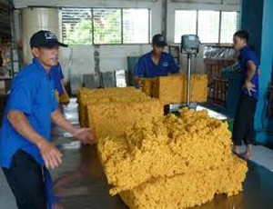 6 tháng, PHR ước lãi ròng trên 63 tỷ đồng