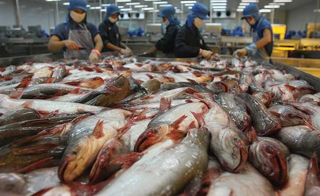 VHC: 6 tháng đạt 50% kế hoạch năm