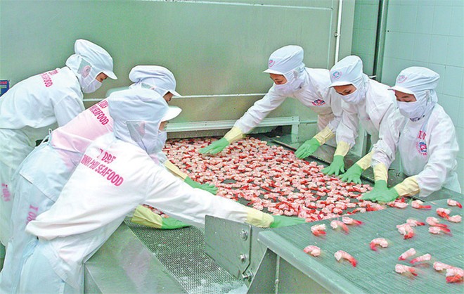 Lợi nhuận trước thuế 6 tháng của MPC ước đạt xấp xỉ kế hoạch cả năm là 487 tỷ đồng
