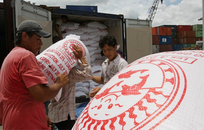 Nhiều ngân hàng đang đẩy mạnh cho vay lĩnh vực nông nghiệp
 xuất khẩu