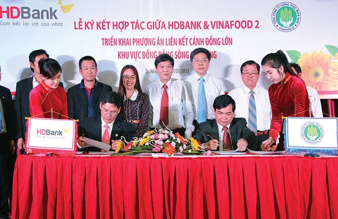 HDBank tiếp vốn cho cánh đồng lớn