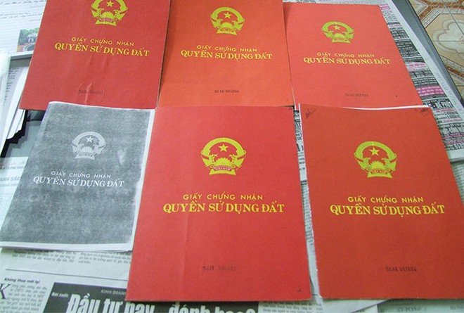 Việc lừa đảo chỉ có thể diễn ra trên thị trường tự do, khi người mua bán thực hiện “tay bo”
