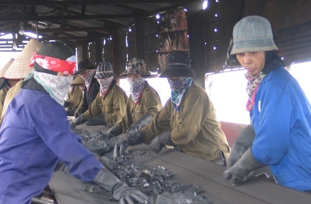 Soi lương thưởng lãnh đạo Tập đoàn Than - Khoáng sản