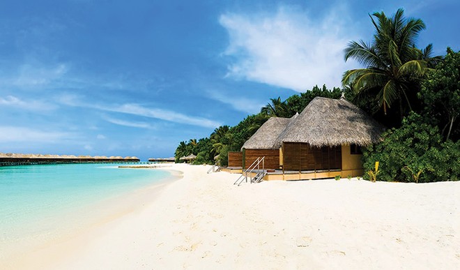 Những nỗi đau mang tên… sốt đất!