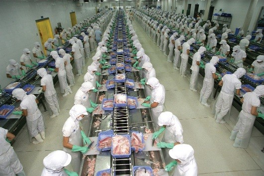 10 tháng đầu năm 2015, kim ngạch xuất khẩu cá tra vào Mỹ đạt khoảng 260 triệu USD, giảm 5%
