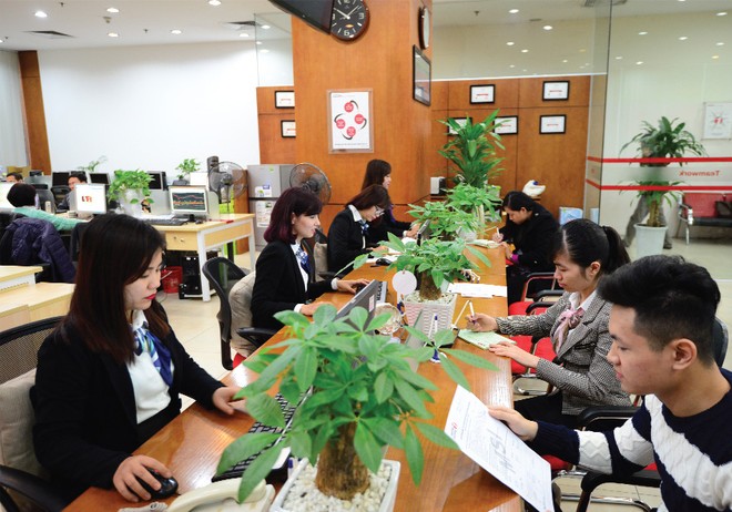 Quy mô vốn khiêm tốn, nhưng MSI lọt vào Top 10 thị phần môi giới tại HNX và Top 15 thị phần môi giới tại HOSE 
