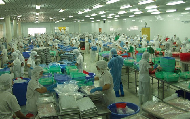 VHC đạt 65,4 triệu kim ngạch xuất khẩu quý III