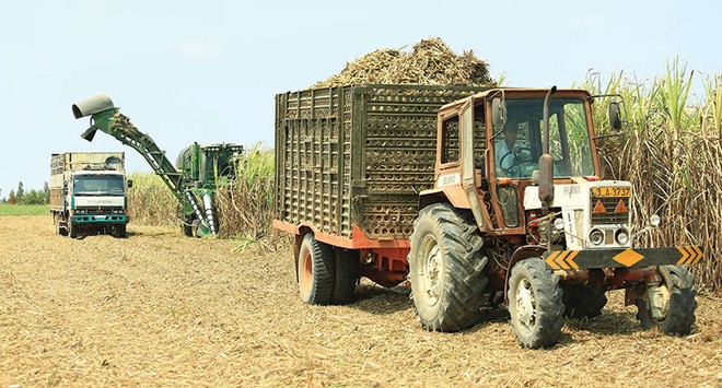 Ngày 3/11, SCIC sẽ bán đấu giá hơn 28 ngàn cổ phiếu Mía đường Thanh Hóa, tương đương 28,43% vốn điều lệ, với giá khởi điểm 569.000 đồng/CP (mệnh giá 100.000 đồng/CP)
