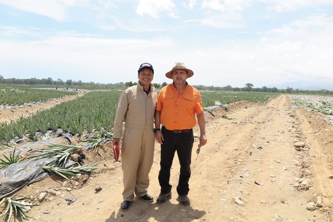 Ông Nguyễn Vũ Lộc và chuyên gia trồng dứa người Mỹ tại cánh đống dứa của hãng giống Dole 