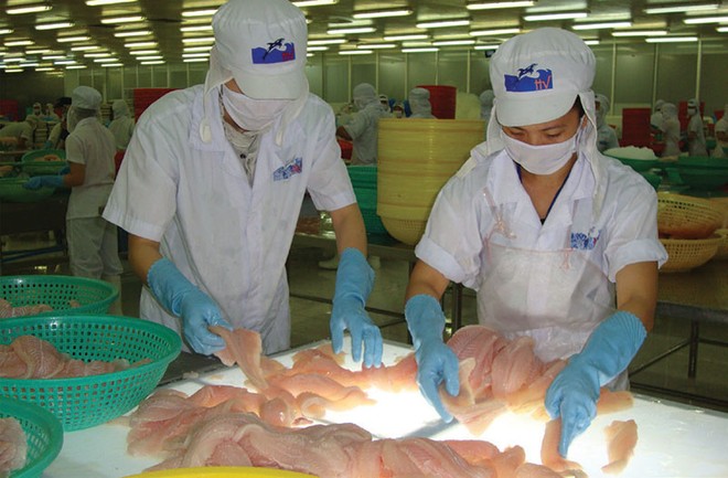 Công ty cổ phần Hùng Vương bất ngờ báo lỗ 49 tỷ đồng thay vì khoản lãi hơn 308 tỷ đồng trước kiểm toán