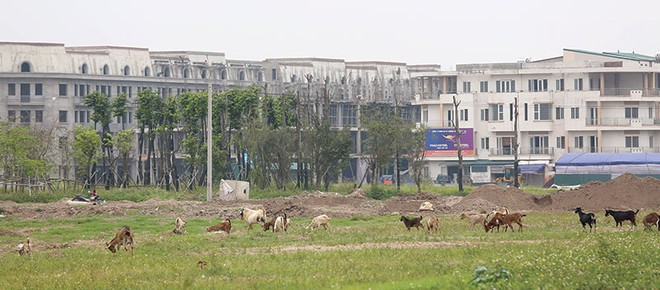 Nhiều dự án bỏ hoang gây lãng phí tài nguyên đất và mất mỹ quan đô thị của các thành phố. Ảnh: Dũng Minh