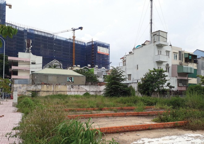 Nhiều nhà đầu tư đã thu lợi nhuận lớn từ việc gom đất rồi phân lô bán nền