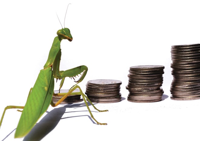 Hãy giao dịch như một thợ săn thực thụ