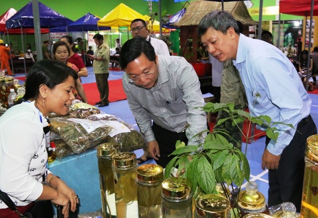 Ông Lê Trí Thanh - Phó Chủ tịch UBND tỉnh Quảng Nam trong lần kiểm tra sản phẩm sâm Ngọc Linh tại huyện Nam Trà My.
