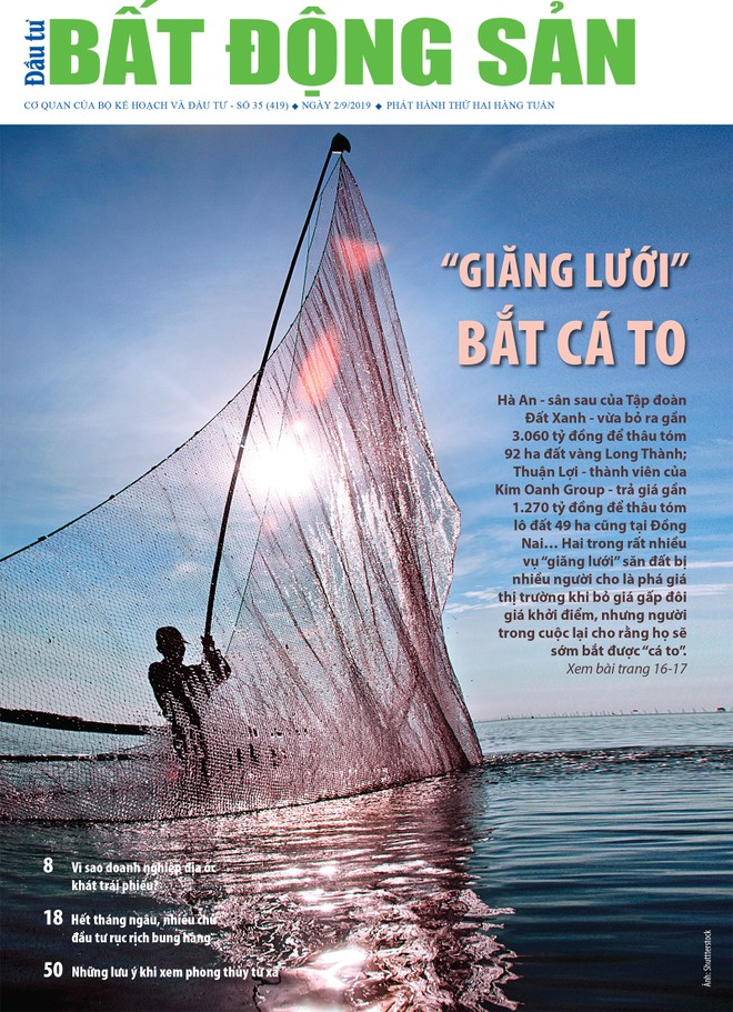 Đầu tư Bất động sản số 35/2019