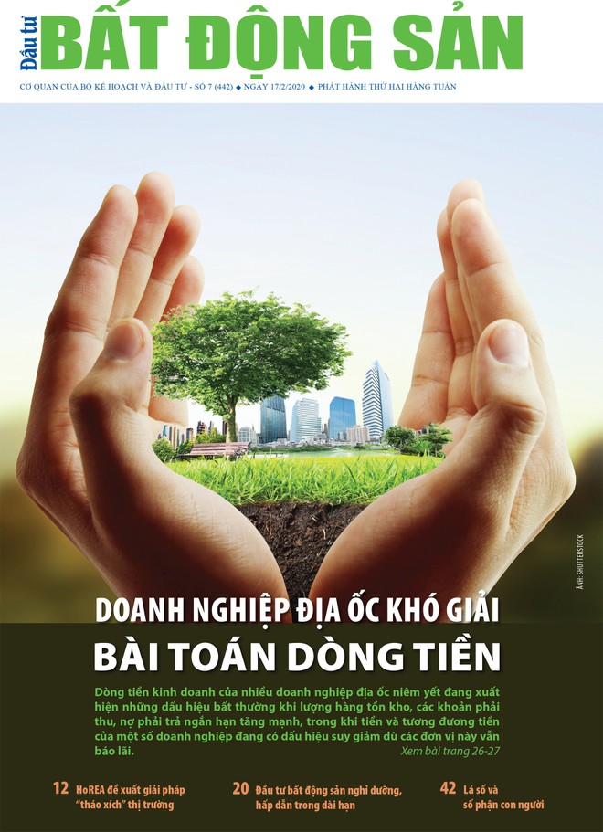 Đầu tư Bất động sản số 07/2019