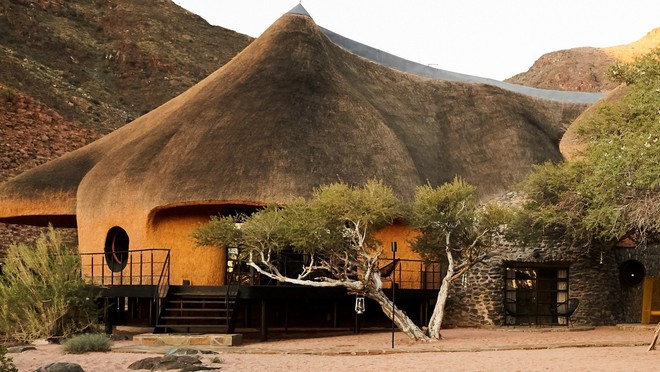 The Nest: Hành trình xây tổ