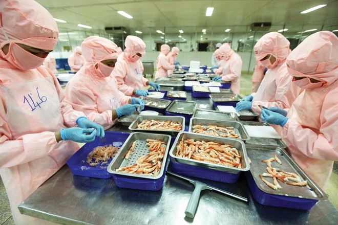 Sản xuất tại Công ty cổ phần Bá Hải (tỉnh Phú Yên). Ảnh: Đức Thanh