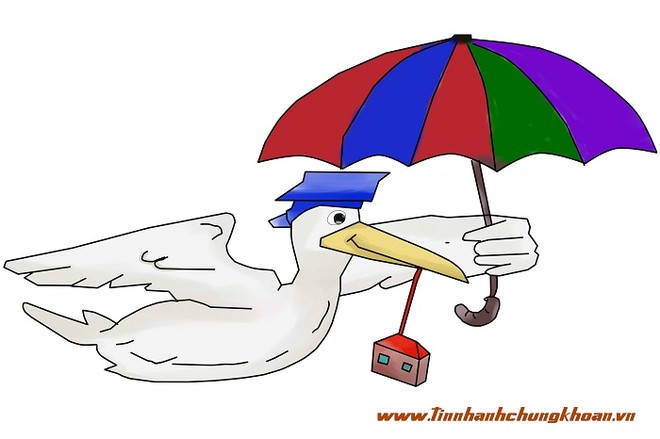 Thị trường bất động sản, phía sau đâu có màu hồng