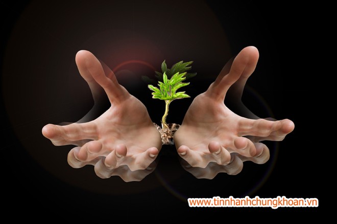 Nên trả doanh nghiệp quyền tự do chọn sàn