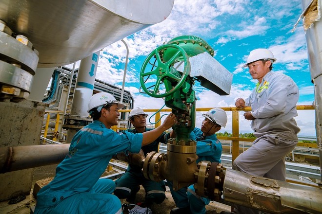 NPK Cà Mau gia nhập thị trường phân bón chất lượng cao