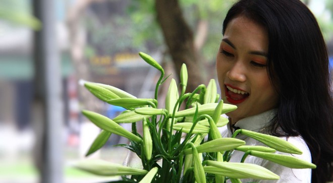 Tháng tư, loa kèn trắng tinh khôi. Ảnh: Thành Nguyễn.