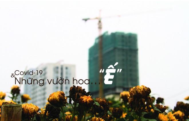 Ảnh: Thành Nguyễn.