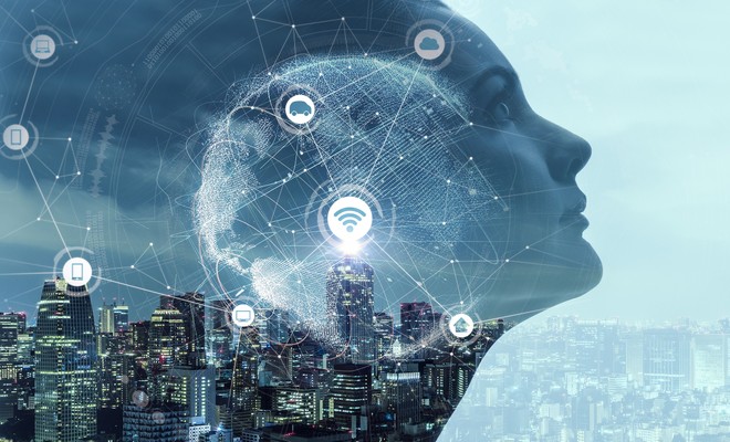 Ảnh: Shutterstock.