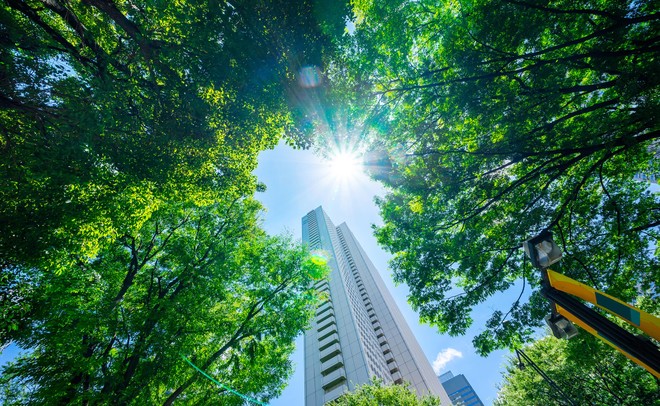 Ảnh: Shutterstock.