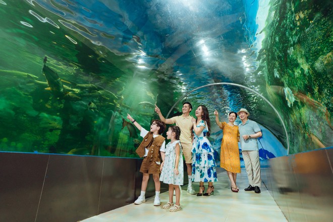 Thuỷ cung tại Công viên Thiên Đường Bảo Sơn luôn rất cuốn hút với du khách.