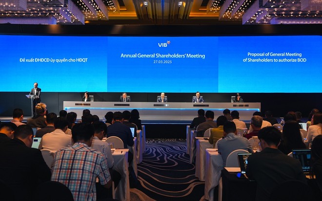 ĐHCĐ VIB: Lợi nhuận quý I/2025 ước đạt 22% cả năm, room ngoại trống 25% và đang tìm cổ đông chiến lược
